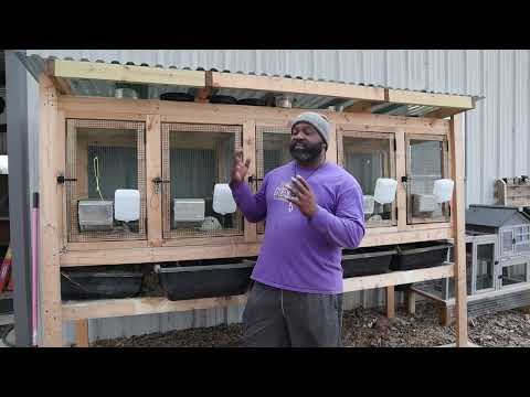 DIY Rabbit Hutch: How We Built It Without Plans - A Step by Step Guide